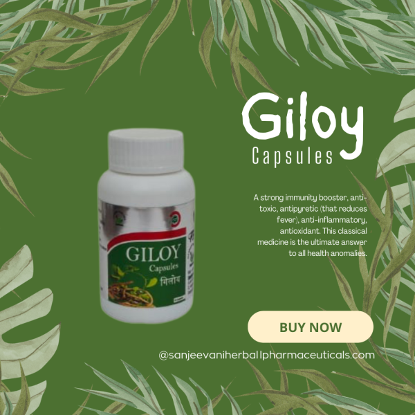 Giloy Capsules